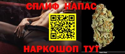 мяу мяу мука Гусиноозёрск
