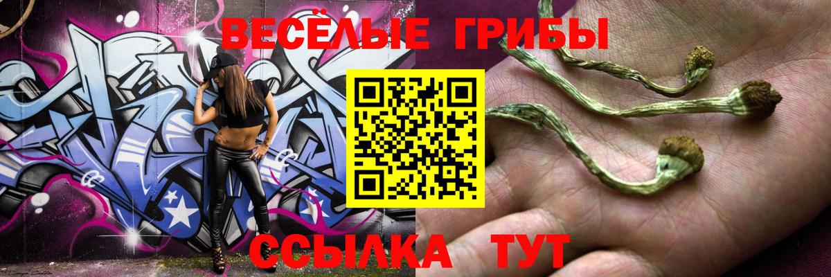 Галлюциногенные грибы Cubensis Назарово