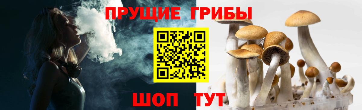 Галлюциногенные грибы Psilocybine cubensis Назарово